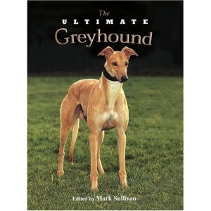 The Ultimate Greyhound