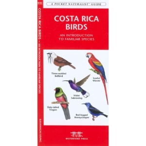 Costa Rica Birds: An Introduction to Familiar Species (Pocket Naturalist)