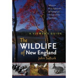 The Wildlife of New England: A Viewer's Guide