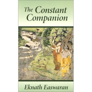 The Constant Companion
