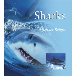 Sharks (Natural World (Smithsonian))