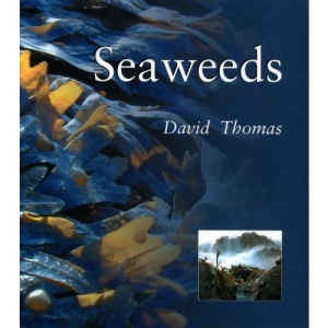 Seaweeds: Seaweeds (Natural World (Smithsonian))