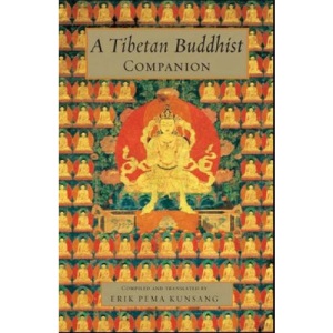 A Tibetan Buddhist Companion: Teachings from the Great Masters of the Nyingma and Kagyu Traditions: Wisdom Teachings from the Great Tibetan Masters