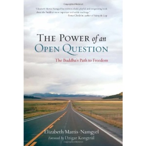 The Power of an Open Question: Venturing Beyond Conclusions on the Buddhist Path