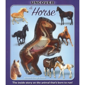 Uncover a Horse (Uncover It)