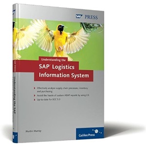 Understanding the SAP Logistics Information System