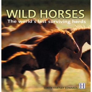 Wild Horses
