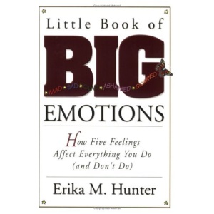 Little Book Of Big Emotions