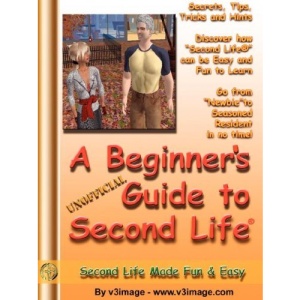 A Beginner's Guide to Second Life