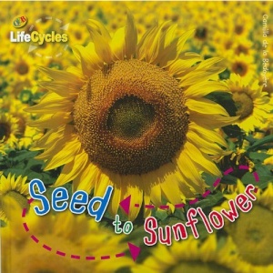 Seed to Sunflower (QEB Life Cycles)