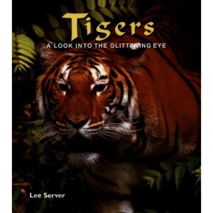Tigers: A Look Into the Glittering Eye