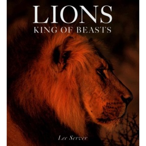 Lions: King of Beasts