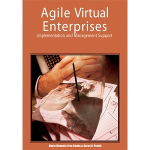 Agile Virtual Enterprises: Implementation and Management Support