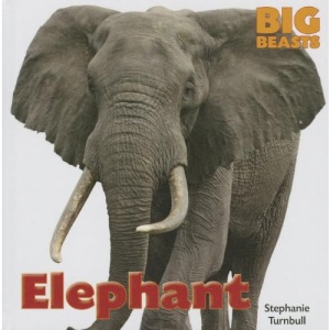 Elephant (Big Beasts (Smart Apple))