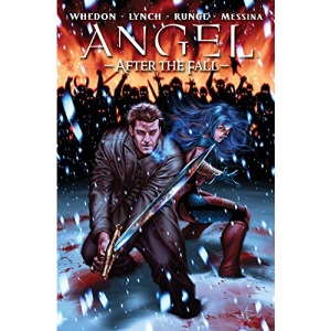 Angel: After The Fall Volume 3 HC: After the Fall v. 3 (Angel (IDW Hardcover))