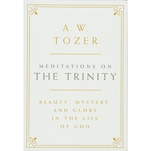 Meditations on the Trinity: Beauty, Mystery, and Glory in the Life of God