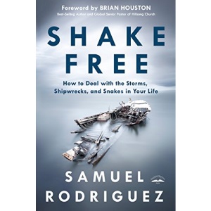 Shake Free: How to Deal with the Storms, Shipwrecks, and Snakes in Your Life