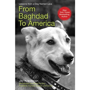 From Baghdad to America: Life After War for a Marine and His Rescued Dog