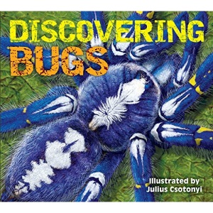 Discovering Bugs