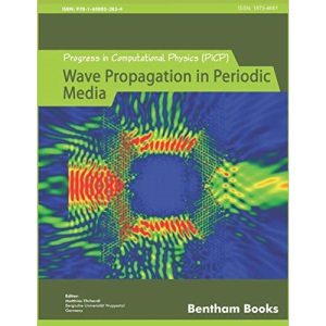 Progress in Computational Physics (PiCP): Coupled Fluid Flow in Energy, Biology and Environmental Research: 2 (Progress in Computaional Physics (PiCP))