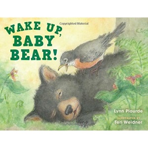 Wake Up, Baby Bear!