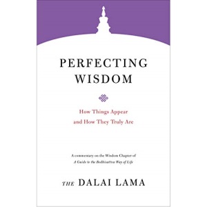 Perfecting Wisdom: How Things Appear and How They Truly Are (Core Teachings of Dalai Lama)