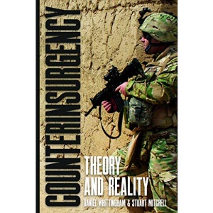 Counterinsurgency: Theory and Reality