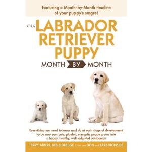 Your Labrador Retriever Puppy Month by Month