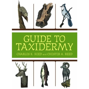 The Complete Guide to Traditional Taxidermy