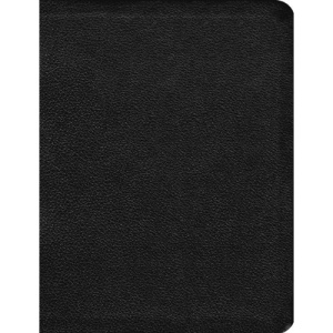 MESSAGE LP PREM LTH BLK
