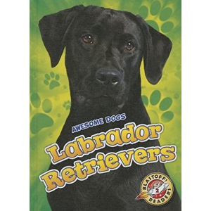 Labrador Retrievers Labrador Retrievers (Awesome Dogs)