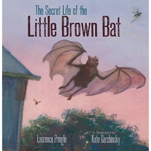 The Secret Life of the Little Brown Bat (The Secret Life)