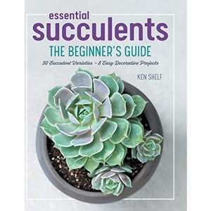 Essential Succulents: The Beginner's Guide