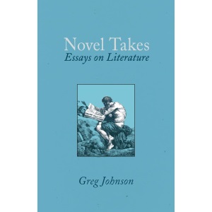 Novel Takes: Essays on Literature