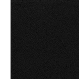 La Biblia de Estudio de La Reforma