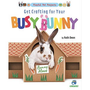 Get Crafting for Your Busy Bunny (Playful Pet Projects)