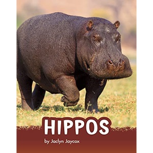 Hippos (Animals)