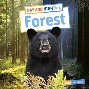 Day and Night in the Forest (Habitat Days and Nights)