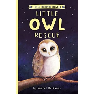 Little Owl Rescue (Little Animal Rescue)