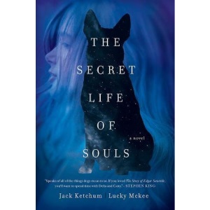 The Secret Life of Souls: A Novel