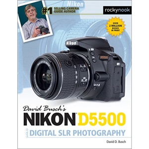 David Busch's Nikon D5500 Guide to Digital Slr Photography (The David Busch Camera Guide)