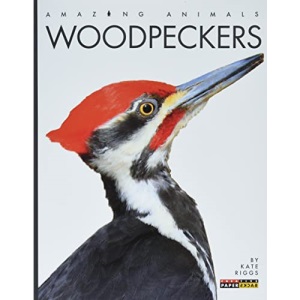 Woodpeckers (Amazing Animals)