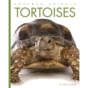 Tortoises (Amazing Animals)