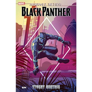Marvel Action: Black Panther: Stormy Weather (Book One): 1