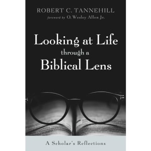 Looking at Life through a Biblical Lens: A Scholar's Reflections