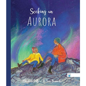 Seeking an Aurora