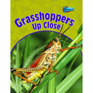Grasshoppers Up Close  (Raintree Perspectives: Minibeasts Up Close)