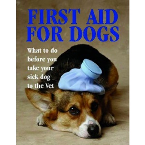 First Aid for Dogs: What to Do Before You Take Your Sick Dog to the Vet (Pet Care)