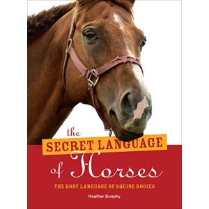 The Secret Language of Horses