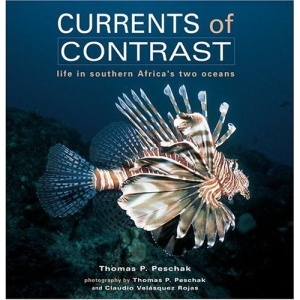 Currents of Contrast: Life in Southern Africa's Two Oceans